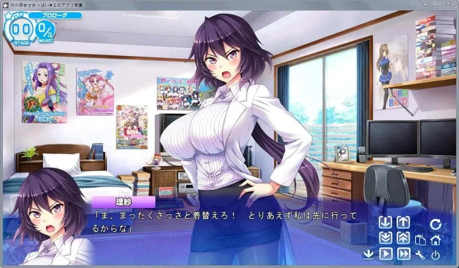 炎孕系列 炎孕系列绅士游戏角色事件 封面图
